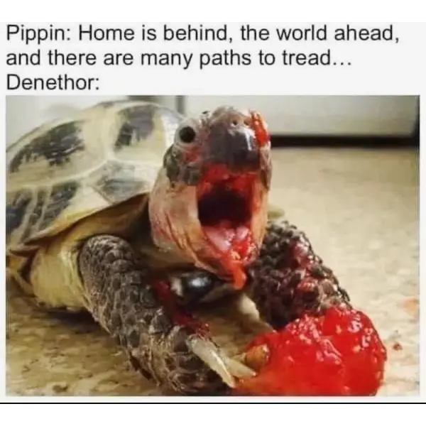 %2Atomato+explosion%2A