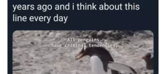 pilfering+penguins
