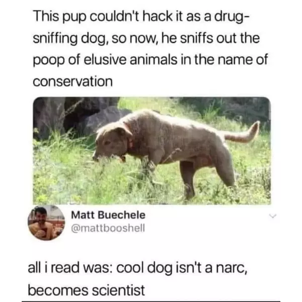 old+dogs+learning+new+tricks