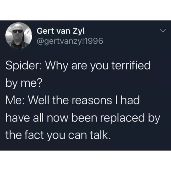 spider+speech