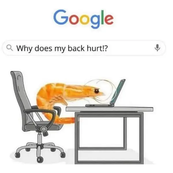 %26%238220%3Bwho+fried+this+rice%3F%26%238221%3B