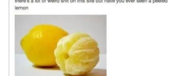 peeled+lemons.+That%26%238217%3Bs+it.+That%26%238217%3Bs+the+post.