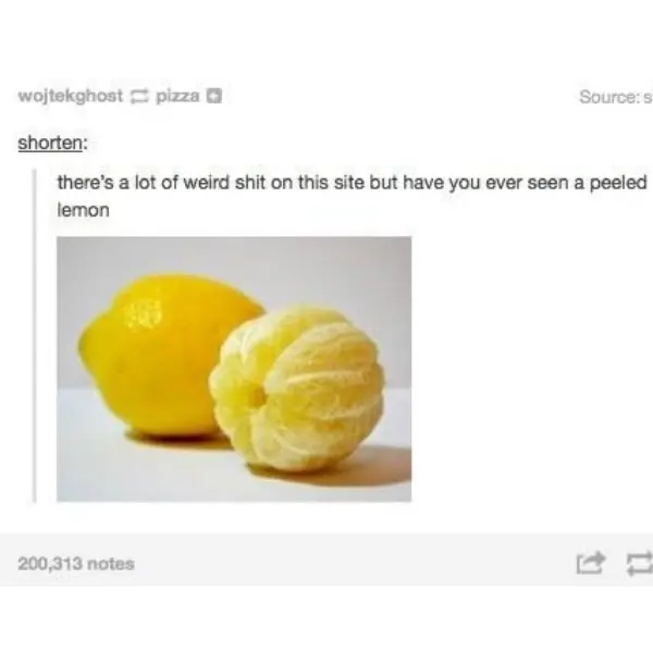 peeled+lemons.+That%26%238217%3Bs+it.+That%26%238217%3Bs+the+post.