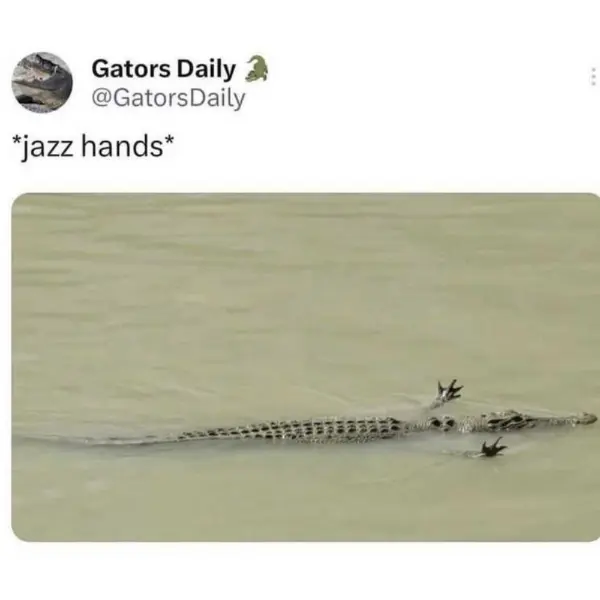 groovin%26%238217%3B+gator