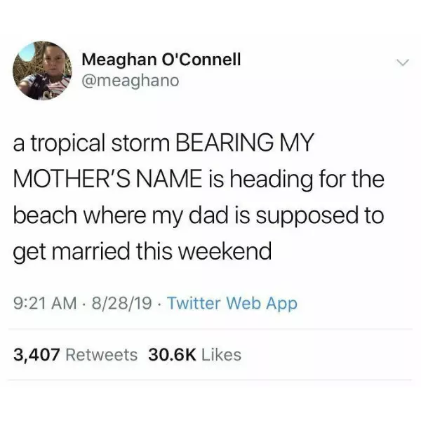 marred+marriage+mayhem