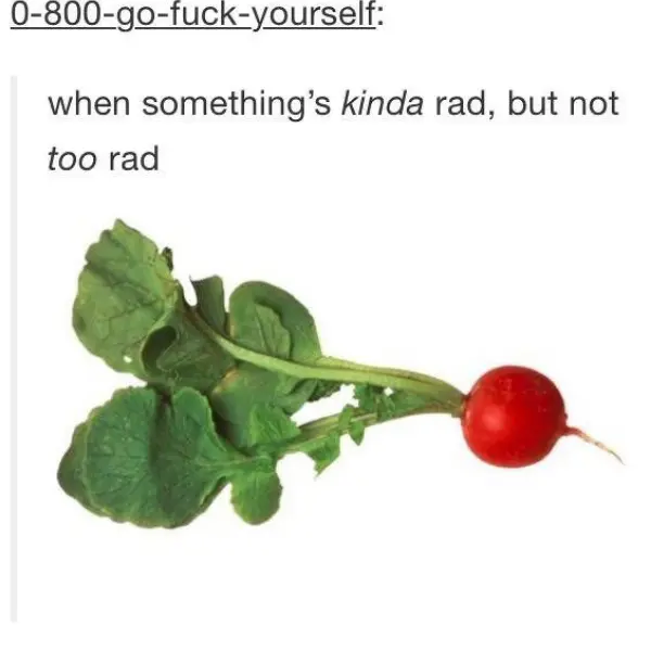 feeling+rad%26%238230%3Bish