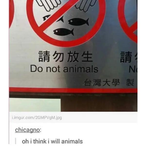 if+I+canimal%2C+I%26%238217%3Bll+animal