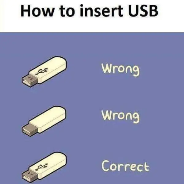 universally+stupid+bus