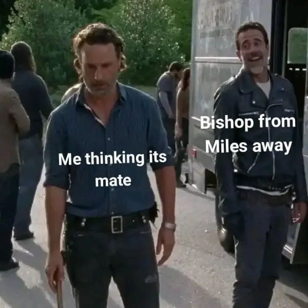 don%26%238217%3Bt+puff+your+chess-t