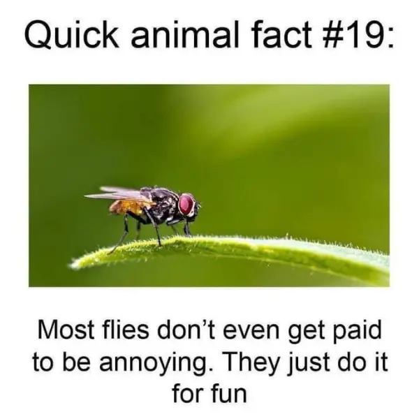 they+just+like+me+forreal