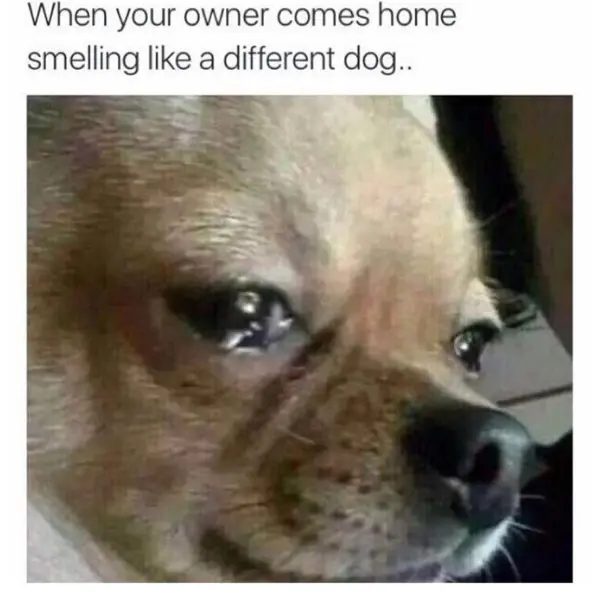 %26%238220%3BI%26%238217%3Bm+not+ok-anine%26%238221%3B