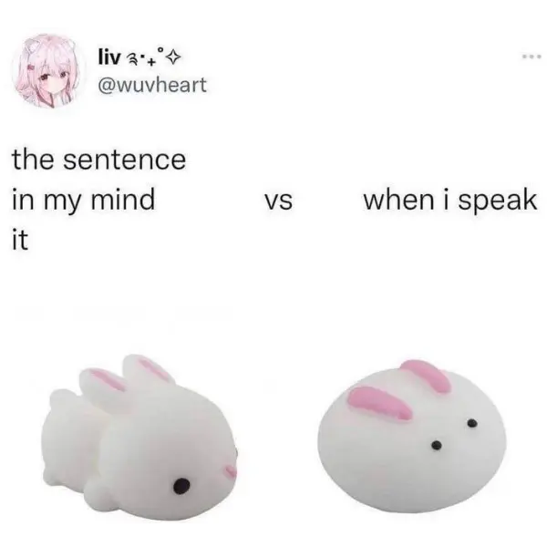 have+a+gnice+daorning