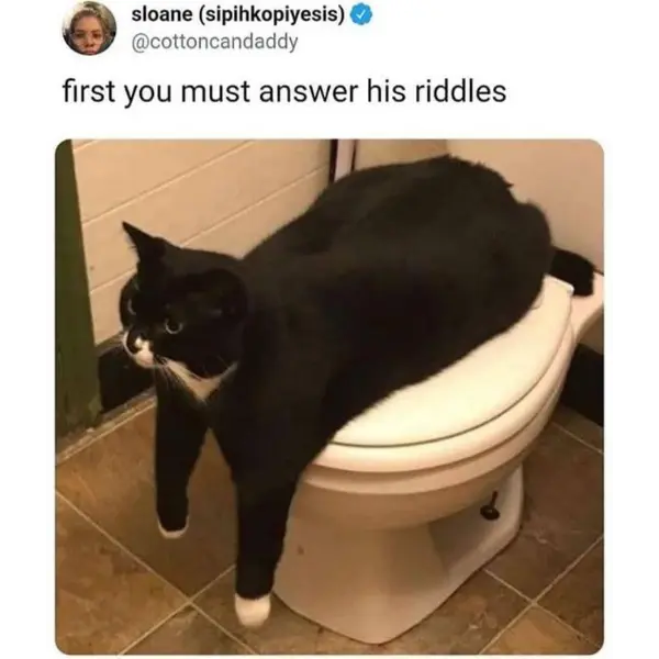 10+copy%2Acats%2A+were+sitting+in+a+car.+One+came+out.+How+many+are+left%3F