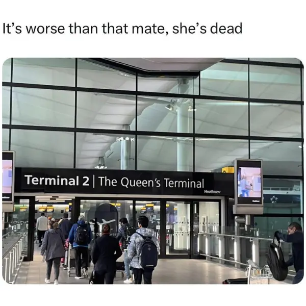 the+queen%26%238217%3Bs+gambit