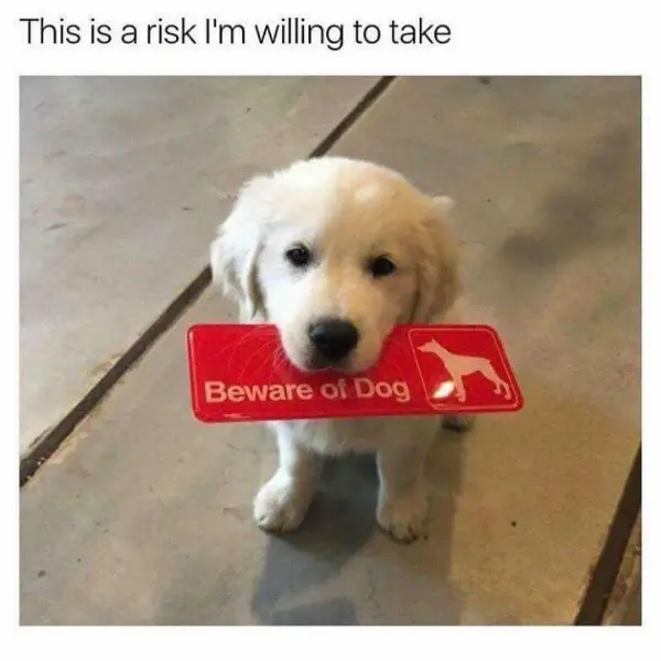 beware+of+falling+in+love%3F+I+think+not.