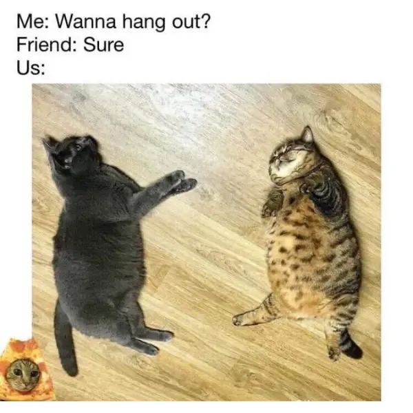 chonky+chillin%26%238217%3B