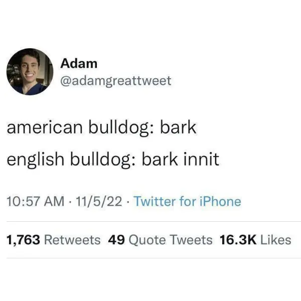 hark+the+bark