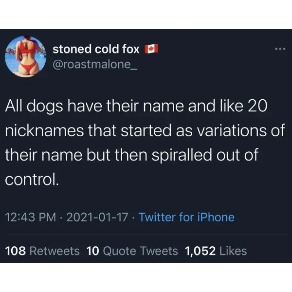 pet+name+pet+names