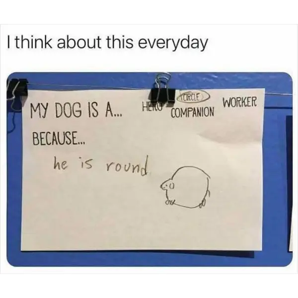round+dogge