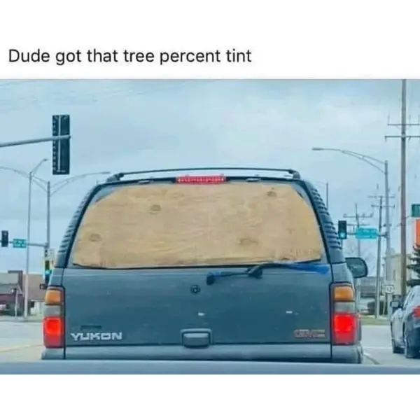 cost+tree-fiddy