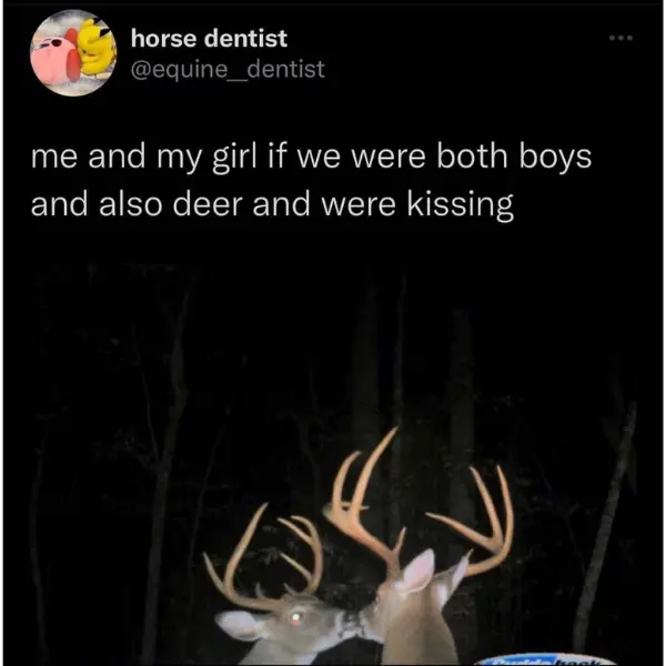 deer+friends