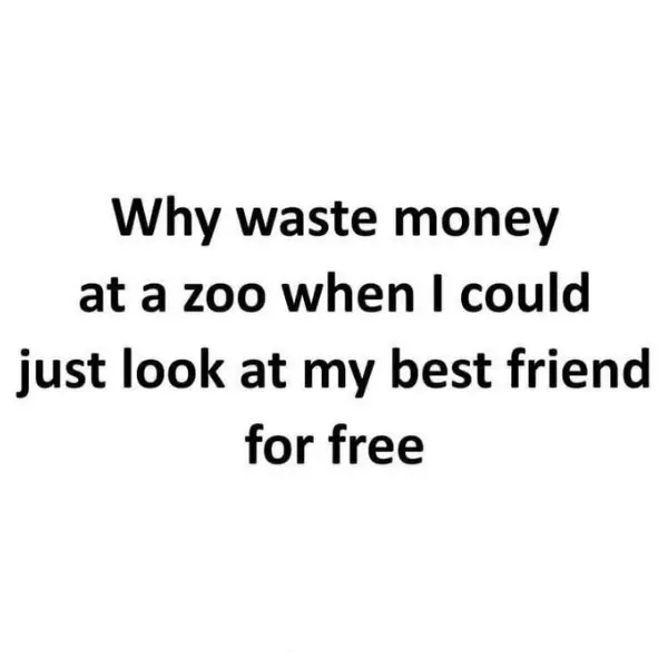 life%26%238217%3Bs+a+zoo