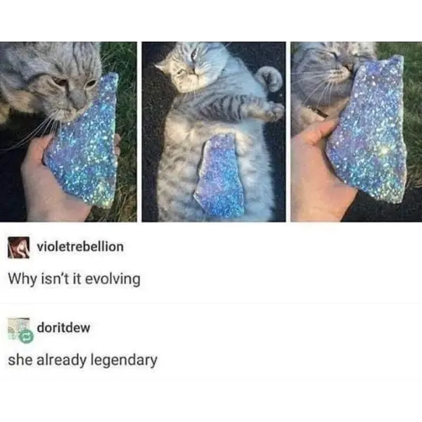 legendary+cat