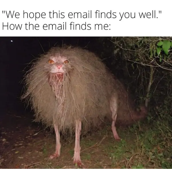 email+emotions