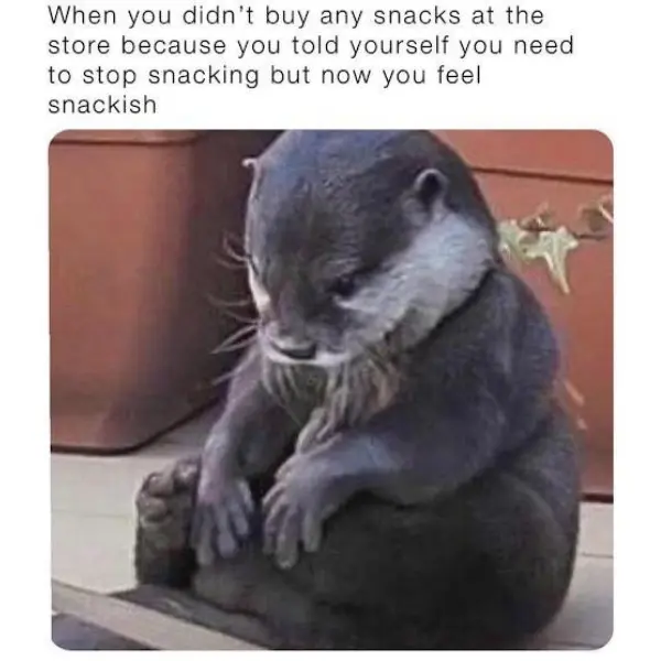 lack+of+snack+attack