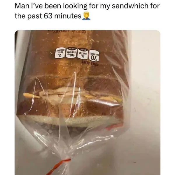 sandwich+safekeeping