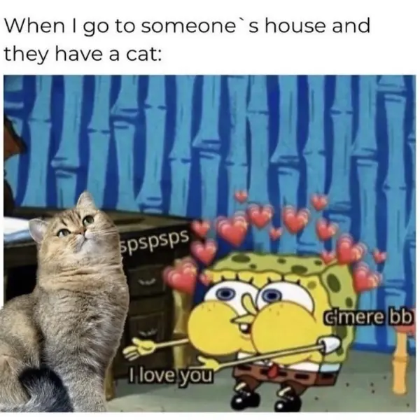 kitty+call+conversation