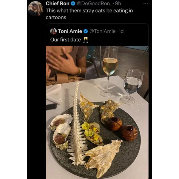 feast+fit+for+a+feline