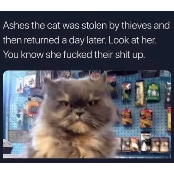 ashes+turned+them+to+ashes