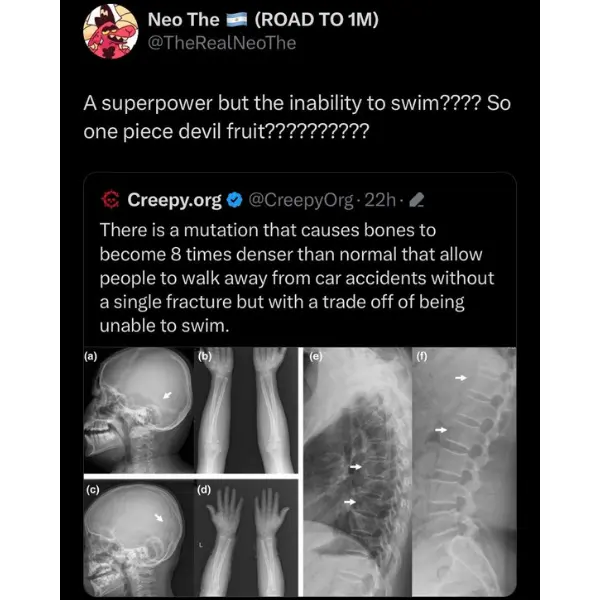 the+one+piece+is+real