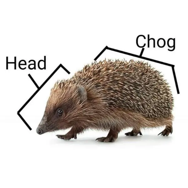 anatomy+of+a+lil%26%238217%3B+guy