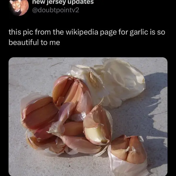 garlic+gifts