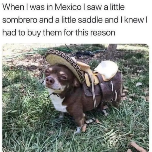 lil%26%238217%3B+amigo+apparel