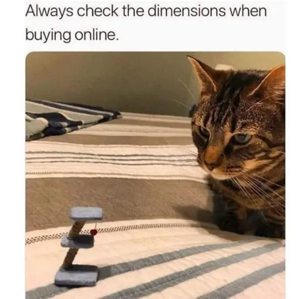 needed+a+banana+for+scale