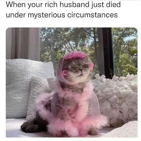 oh%2C+that%26%238217%3Bs+rich