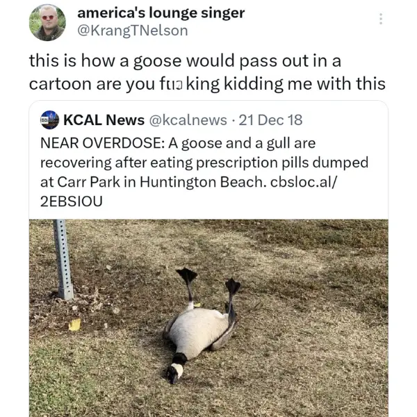 obtuse+rubber+goose