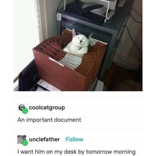 clawing+through+the+files