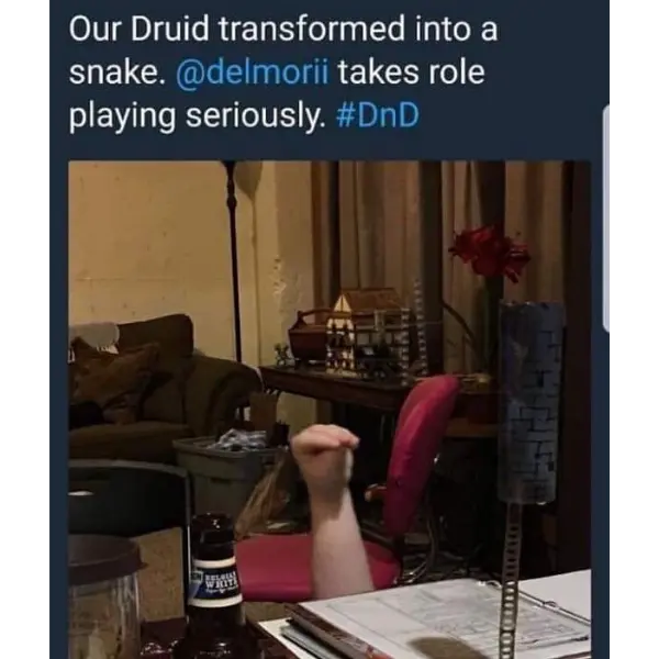 dungeonsss+and+dragonsss